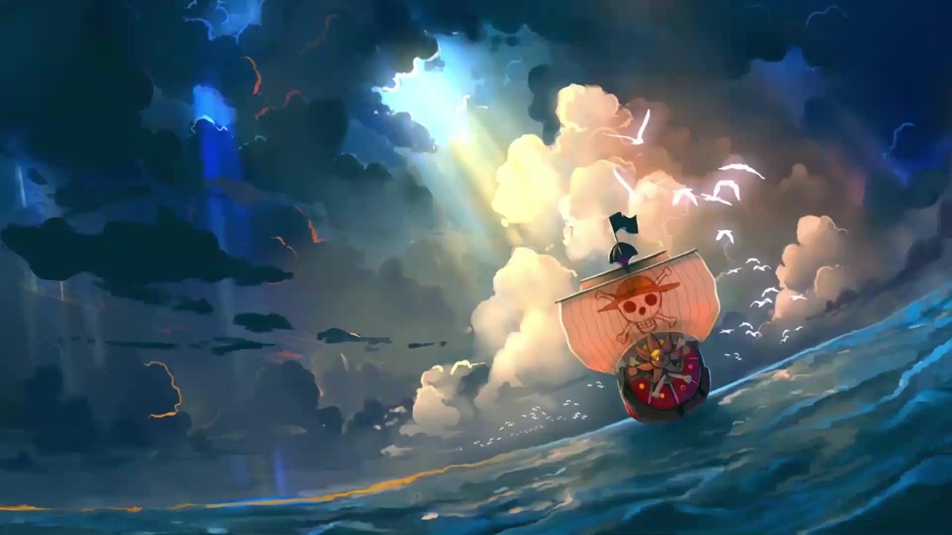 One Piece Zubehör